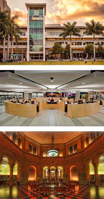 Expanding Career Opportunities for PhDs in the Libraries‌